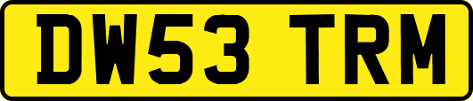 DW53TRM