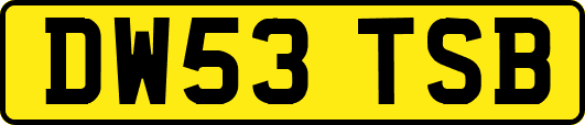 DW53TSB