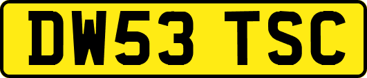 DW53TSC