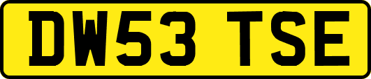 DW53TSE