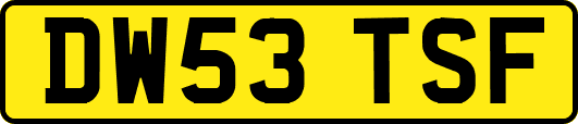 DW53TSF