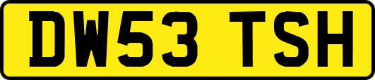 DW53TSH