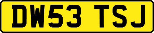 DW53TSJ