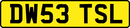DW53TSL
