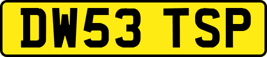 DW53TSP