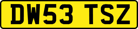 DW53TSZ