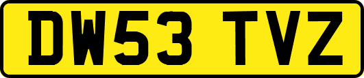 DW53TVZ