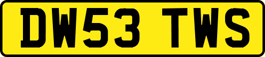 DW53TWS