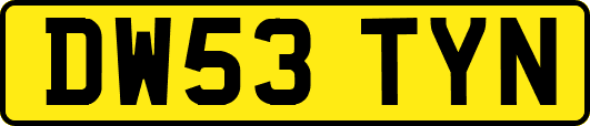 DW53TYN