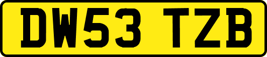DW53TZB