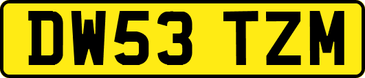 DW53TZM
