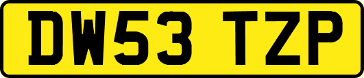 DW53TZP