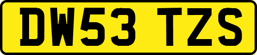 DW53TZS