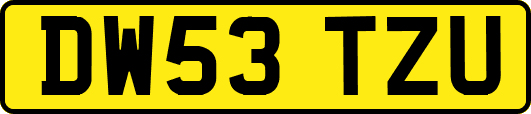 DW53TZU