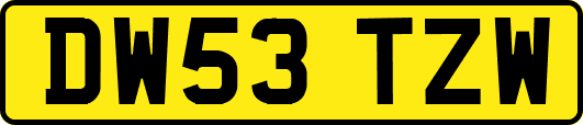 DW53TZW