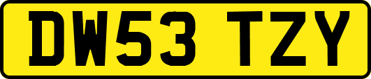 DW53TZY