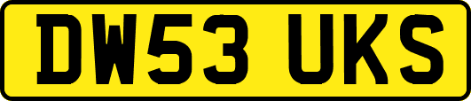 DW53UKS