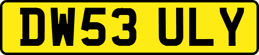 DW53ULY