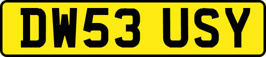 DW53USY