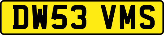 DW53VMS