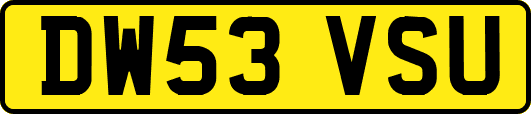 DW53VSU