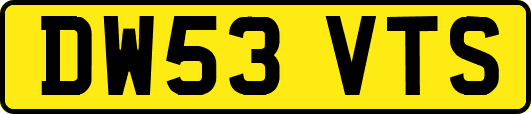 DW53VTS