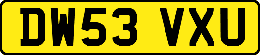 DW53VXU