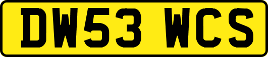 DW53WCS