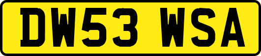 DW53WSA