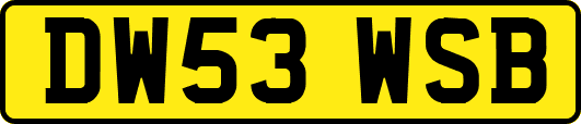 DW53WSB