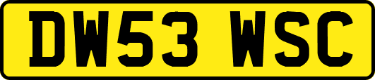 DW53WSC