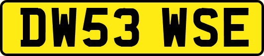 DW53WSE