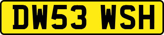 DW53WSH