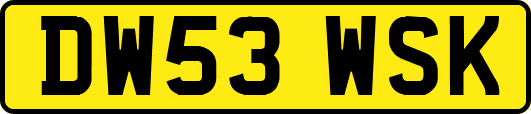 DW53WSK