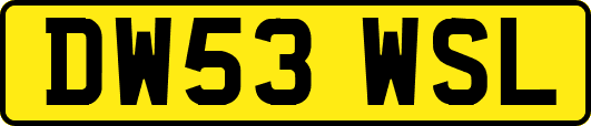 DW53WSL