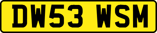 DW53WSM