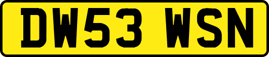 DW53WSN