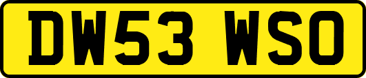 DW53WSO