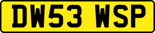 DW53WSP