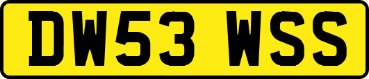 DW53WSS
