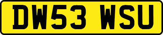 DW53WSU