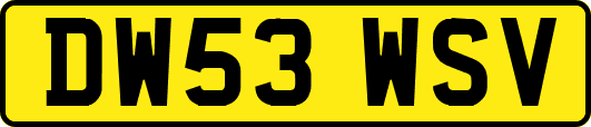 DW53WSV