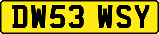 DW53WSY