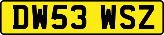 DW53WSZ