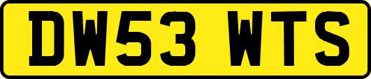 DW53WTS