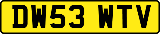 DW53WTV