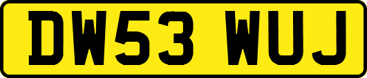 DW53WUJ