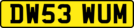 DW53WUM