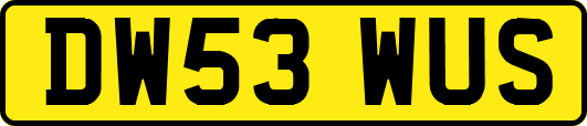 DW53WUS