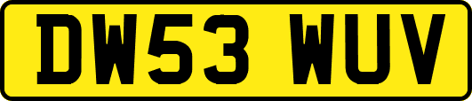 DW53WUV